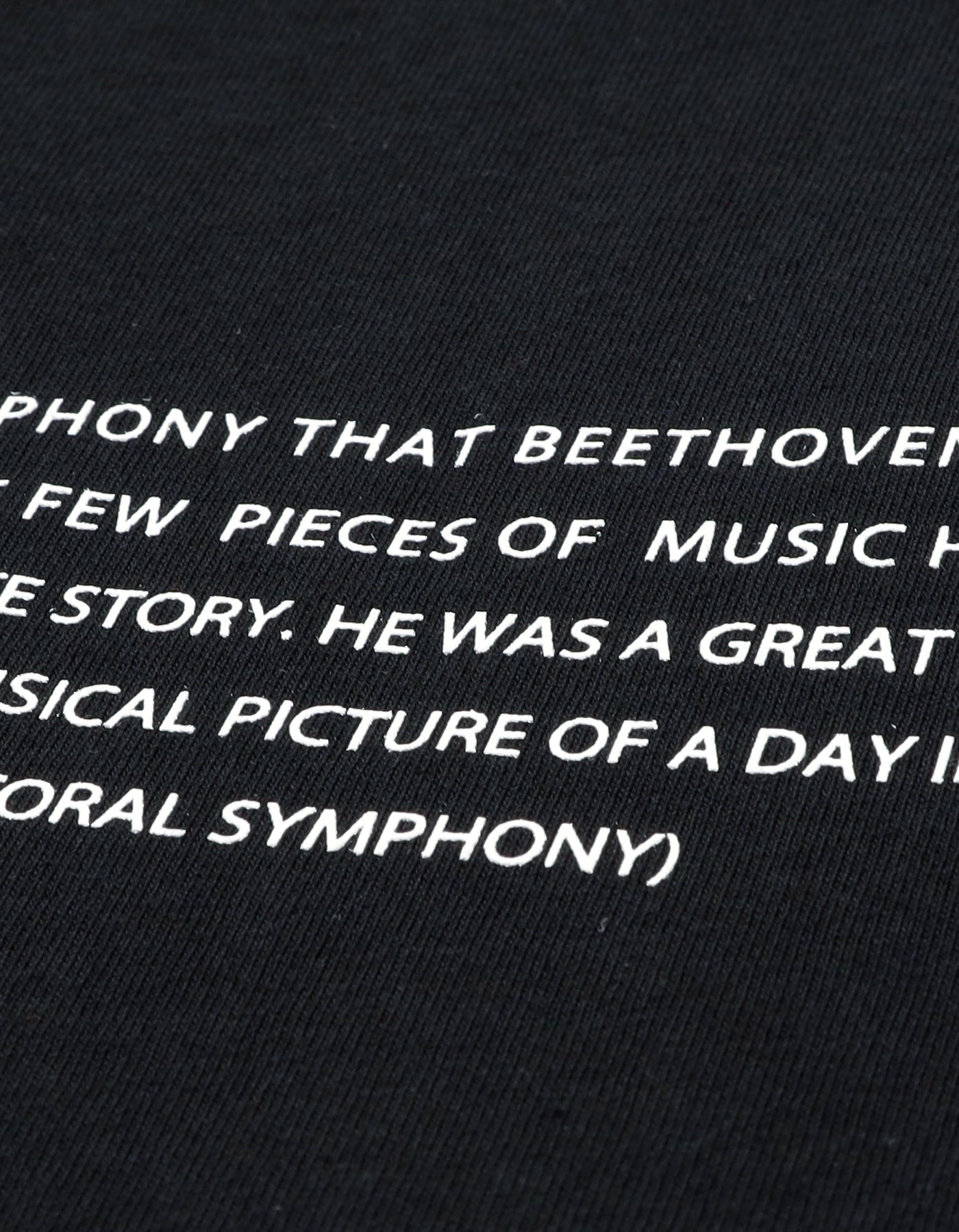 little sunny bite Disney collection / fantasia big tee / BLACK