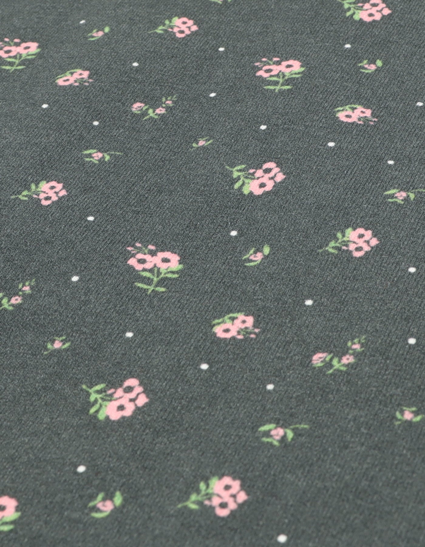 little sunny bite Disney collection / snow white big tee / BLACK