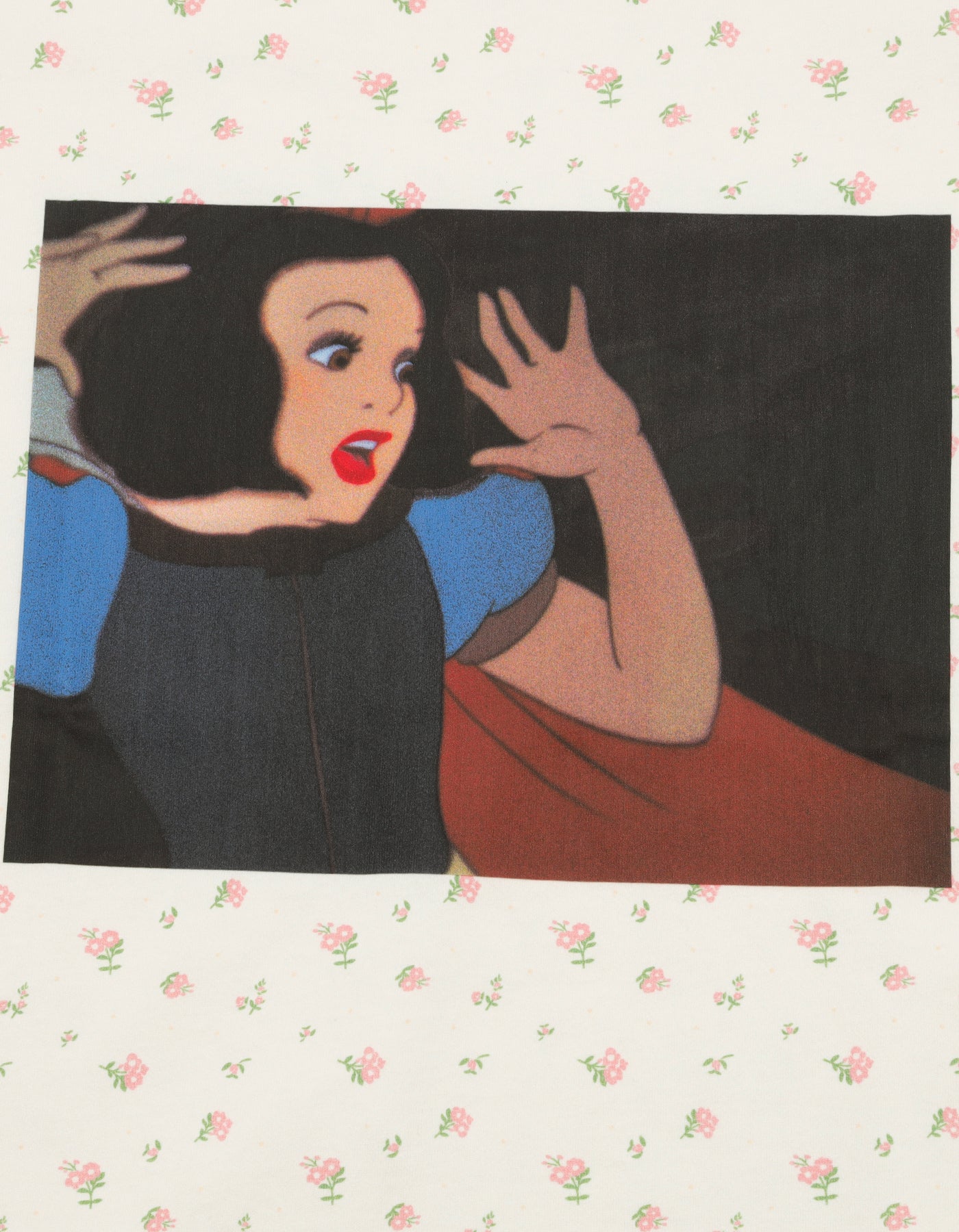 little sunny bite Disney collection / snow white big tee / WHITE