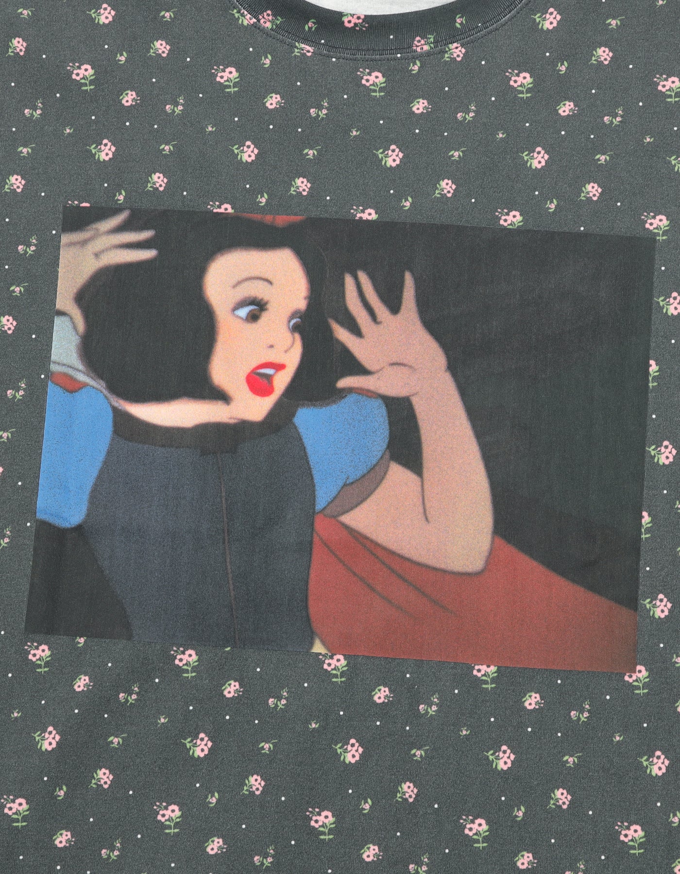 little sunny bite Disney collection / snow white big tee / BLACK