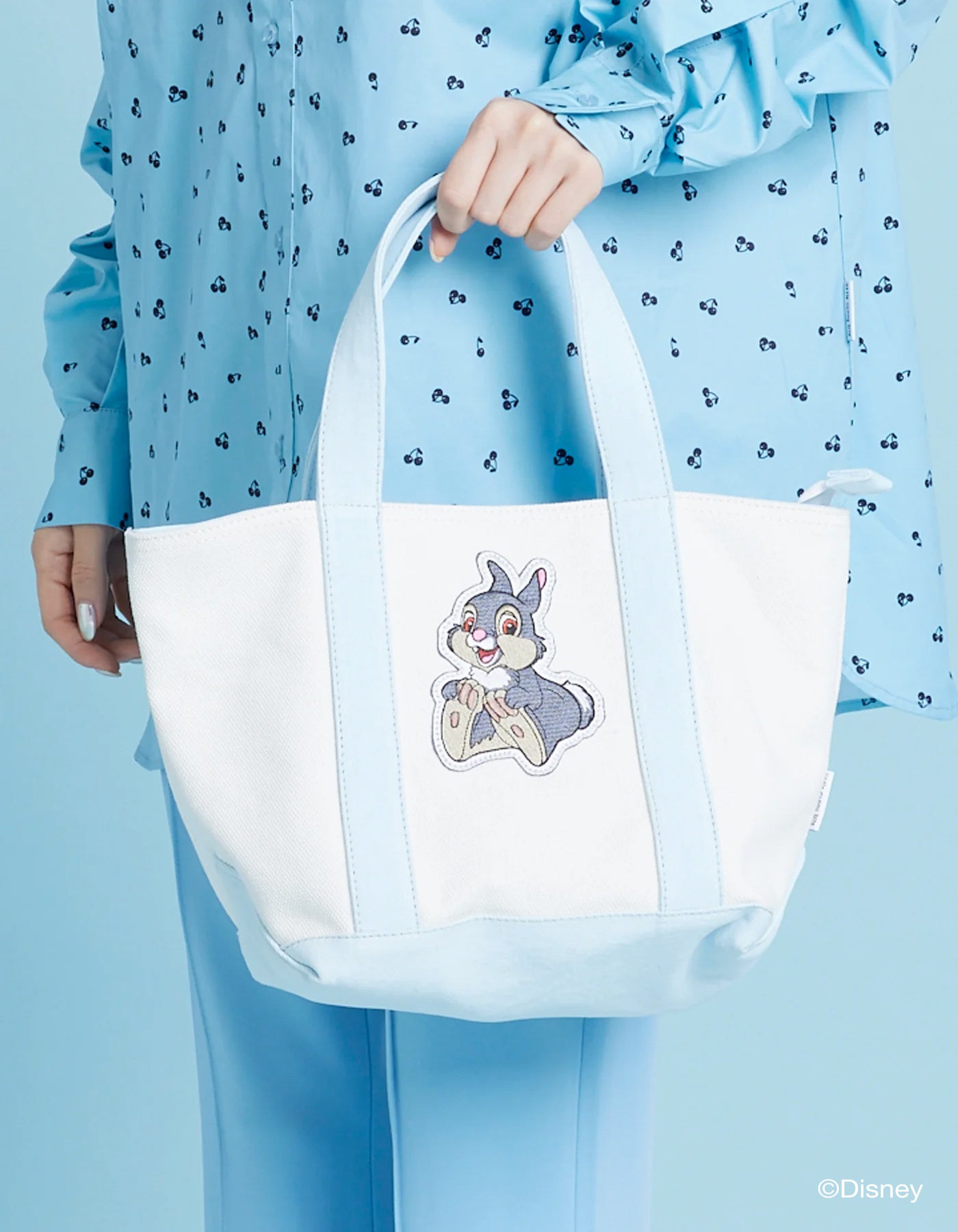 Little Sunny Bite × Disney』 character tote bag-